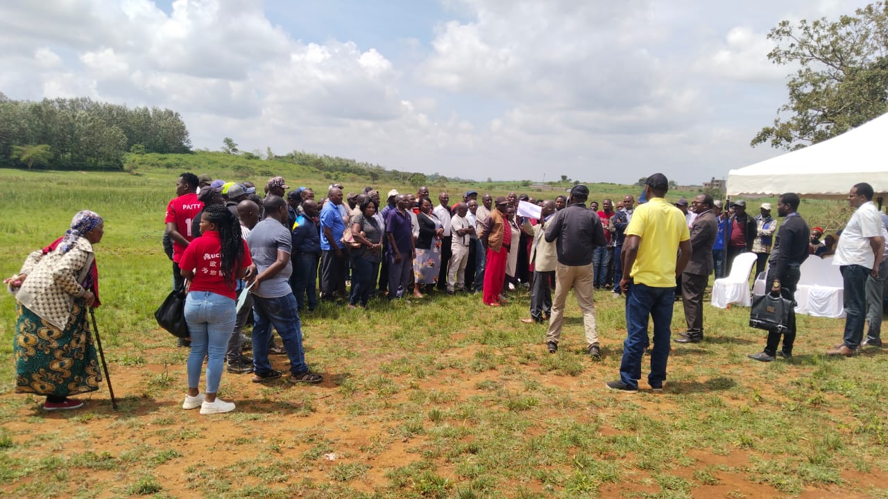 Featured story image